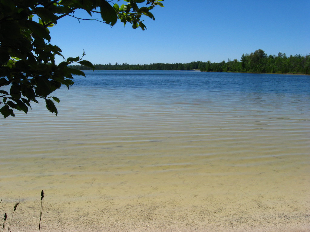 The sandy shoreline at Grousehaven Lake in Rifle River Sta… Flickr