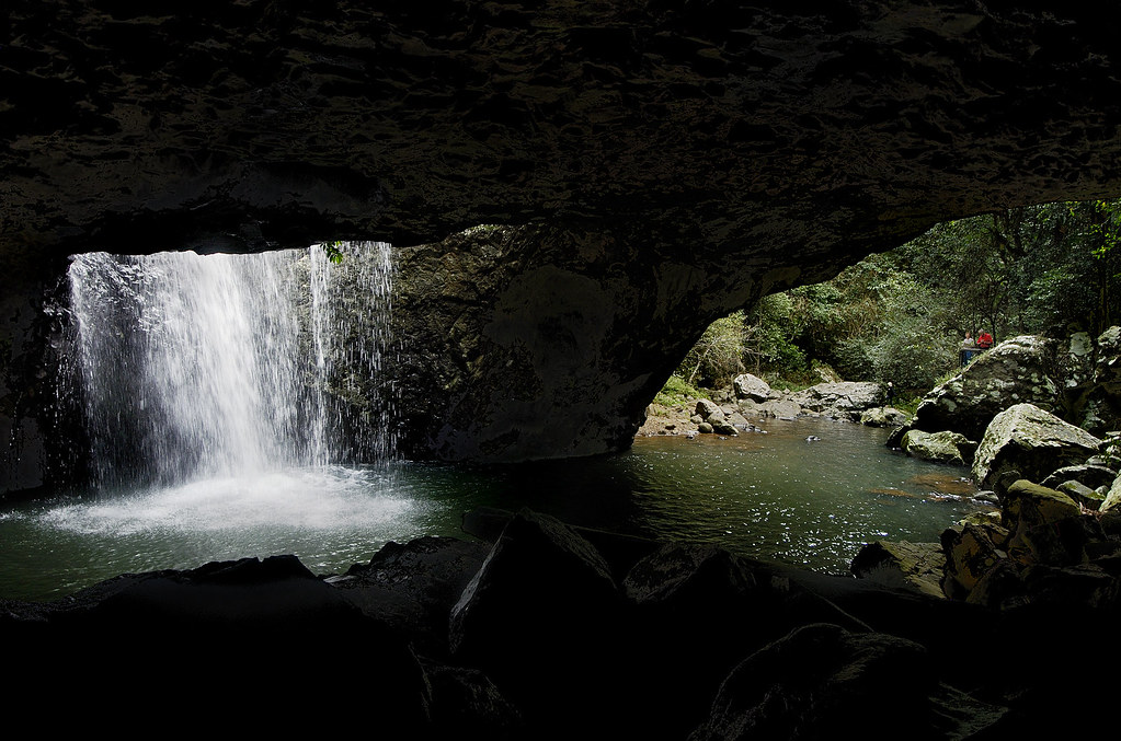 Elevation of Bald Mountain Road, Bald Mountain Rd, Limpinwood NSW, Australia Topographic Map