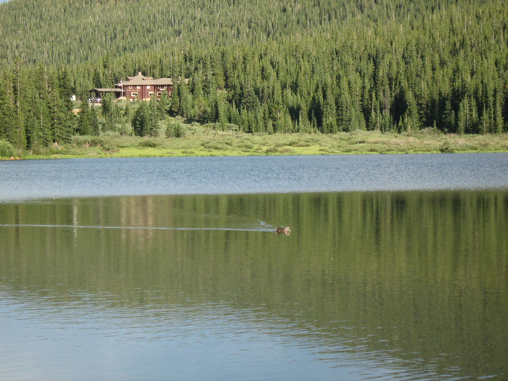 Echo Lake Lodge with duck in foreground oddharmonic Flickr