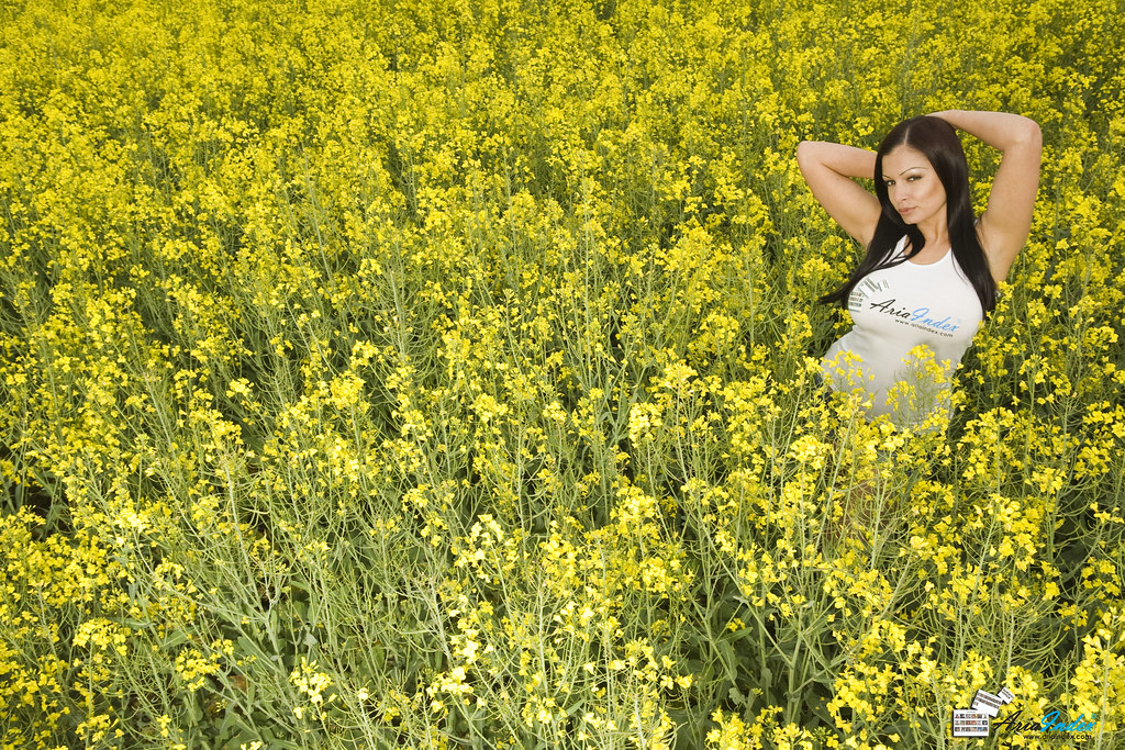 Aria Giovanni in the yellow flowerfield - a photo on Flickriver