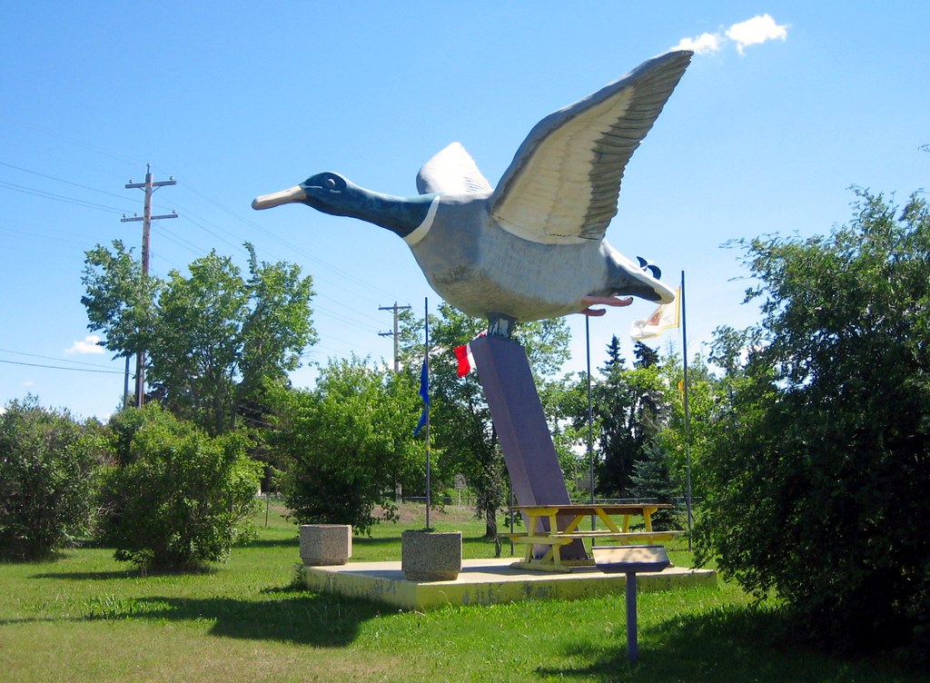 World's Largest Mallard Duck, Andrew, Alberta, Canada Flickr