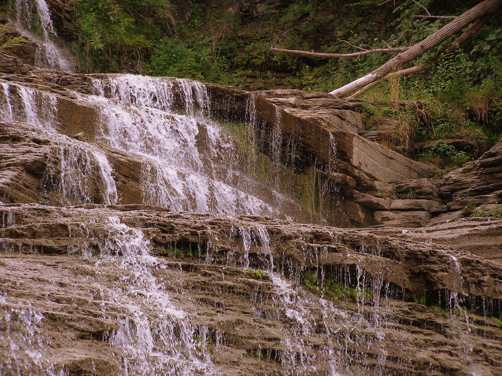Hector Falls Up close and personal showing the layers o… Flickr