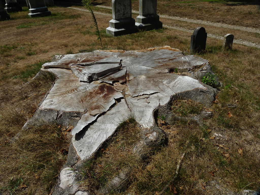 Bridge Street Cemetery, Northampton MA Rusty Clark 100K Photos Flickr