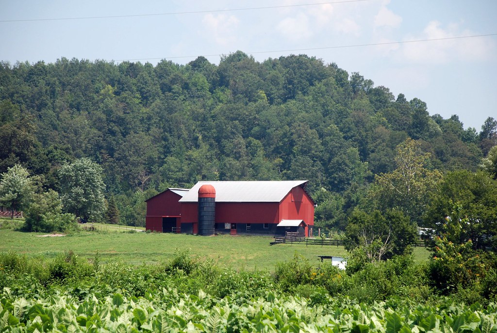 Rural Kentucky Hwy 206, Pellyton area of Adair County, Ken… Kenny