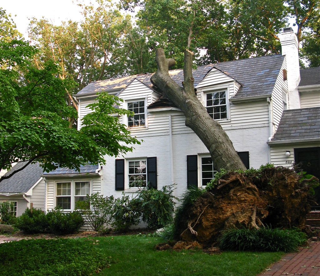 MAJOR DAMAGE IN BEVERLY HILLS SECTION OF ALEXANDRIA Flickr