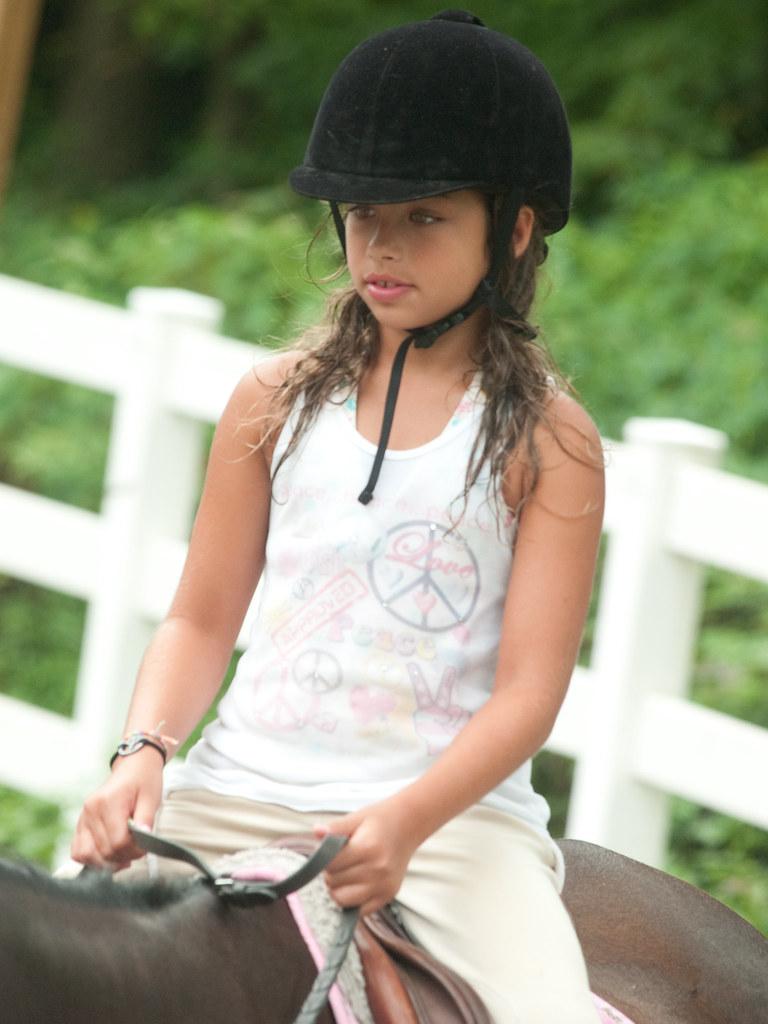 Horseback Riding Lessons Philadelphia County Willow Gr… Flickr