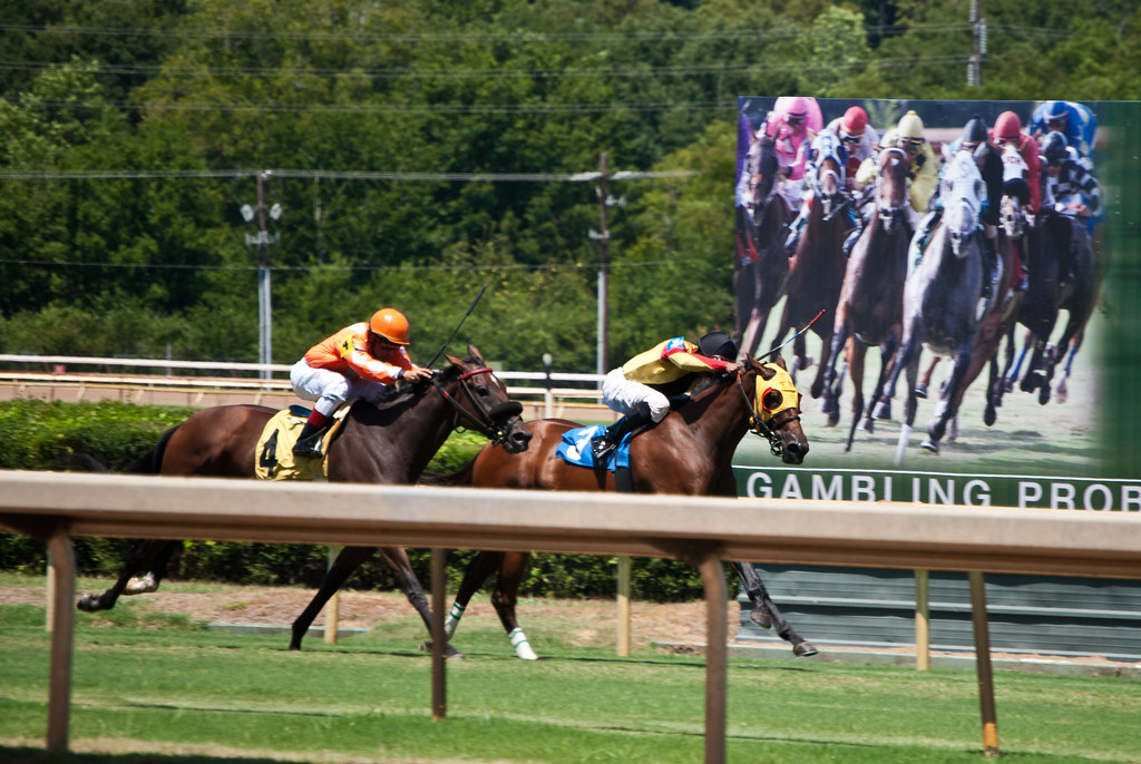 LA Downs7082.jpg Michael Welch Flickr