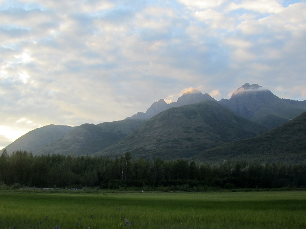 IMG_0709 Crescent_Fresh Flickr