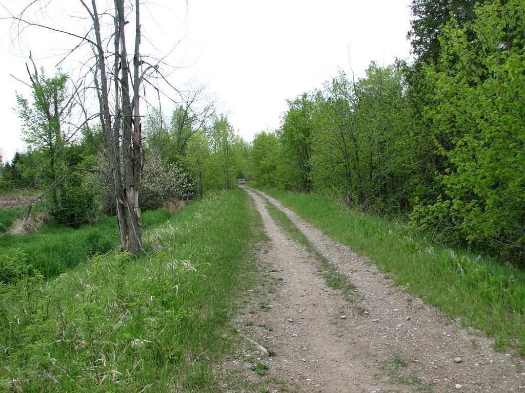 Trans Canada Trail Cookstown Ontario Section Hiking along… Flickr