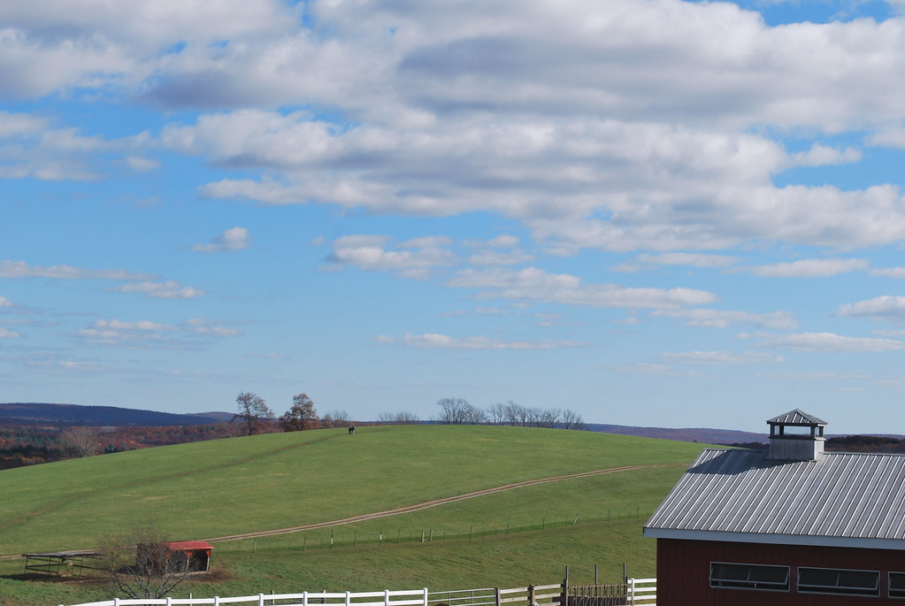 Horsebarn Hill UConn Animal Science Flickr