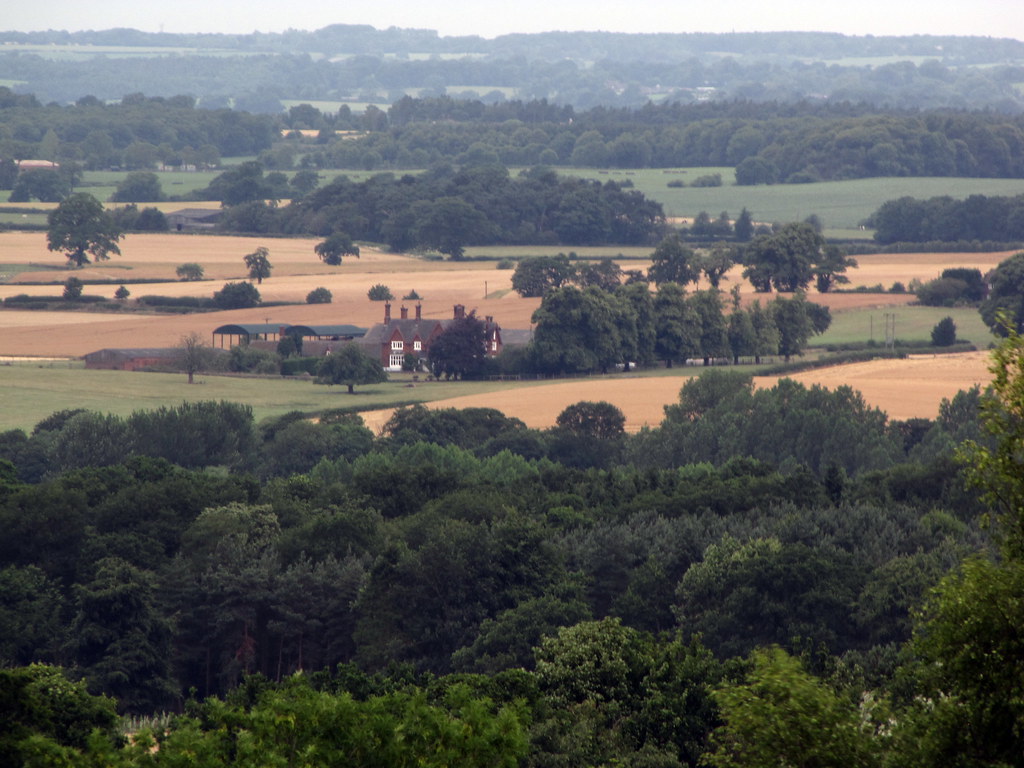 View from where I watch my foxes Taken on Cannock Chase on… Flickr