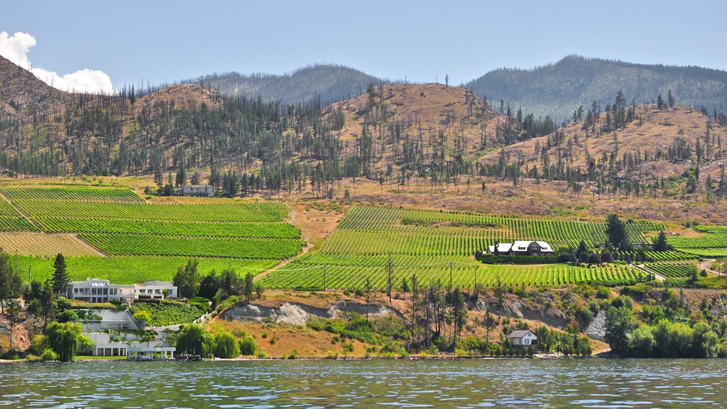 Kelowna Vineyards from the Okanagan Lake Stuart Madden Flickr