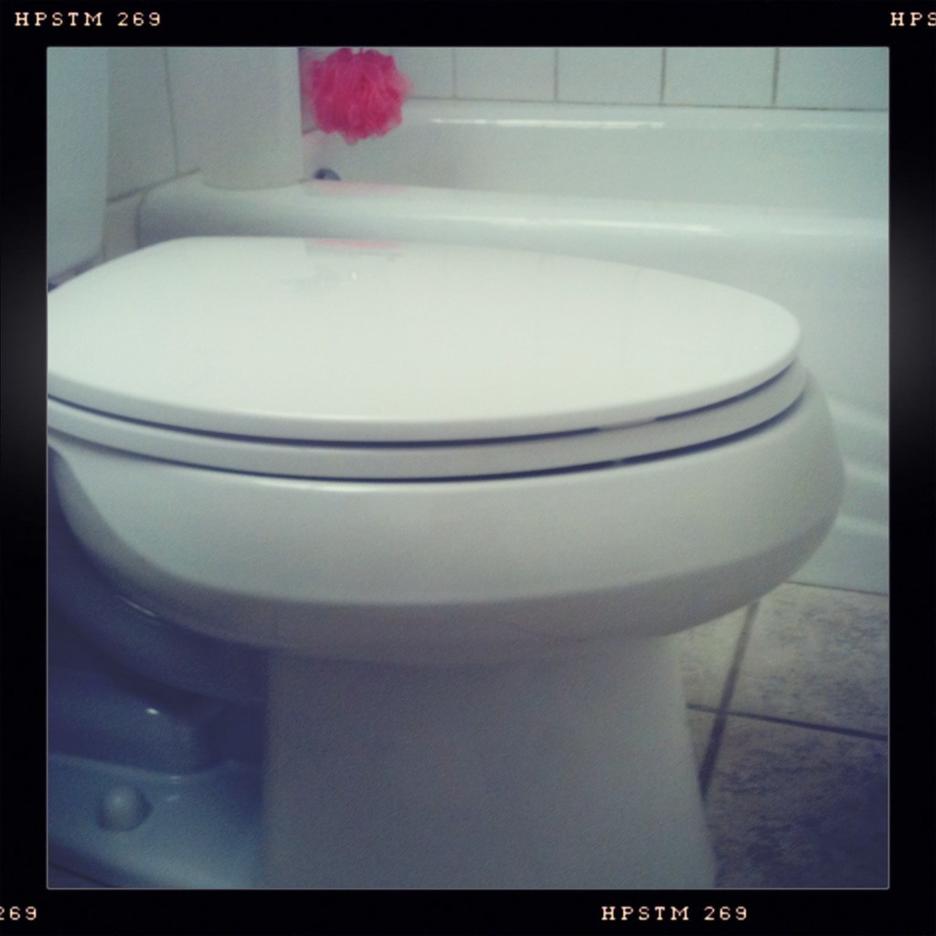 The Toilet Bowl Glenn Beltz Flickr