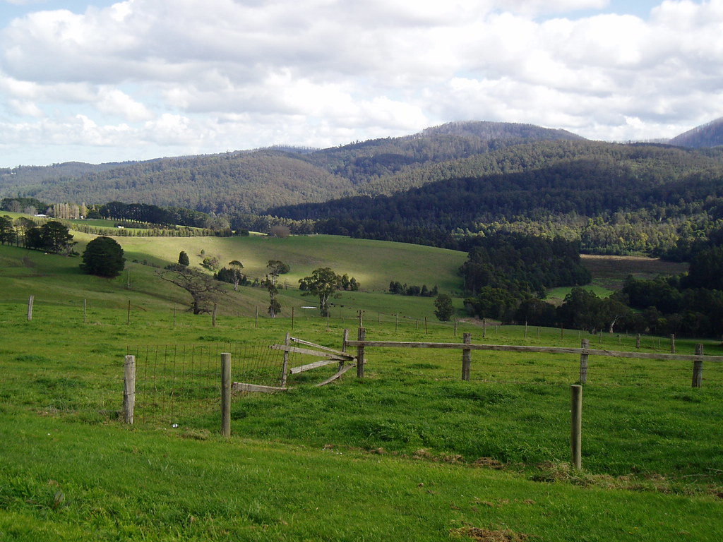 View at Neerim Beautiful country side, photo taken Neerim,… Flickr