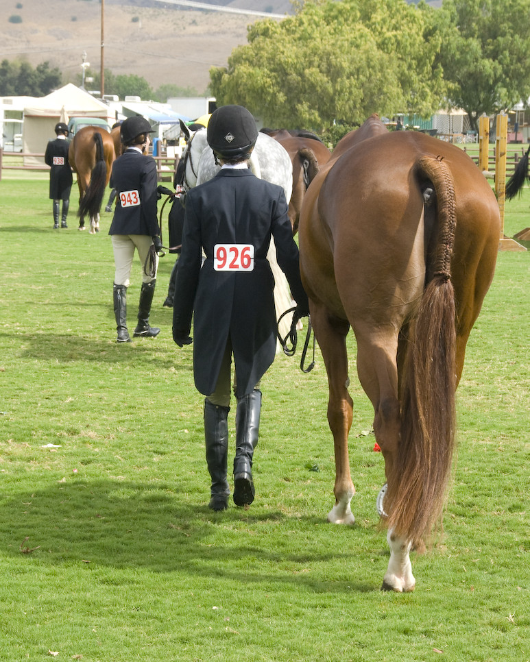 Junior Hunter Finals Junior Hunter Finals at The Oaks, San… Flickr