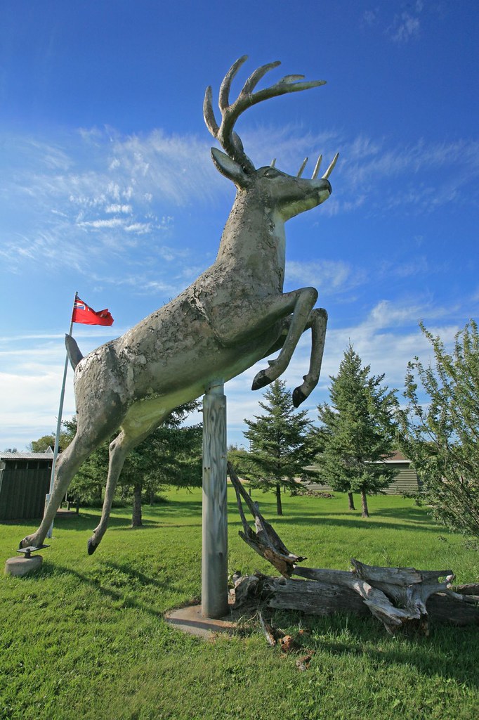 King Buck Erected in 1991 Poplarfield, Manitoba Don't use … Flickr
