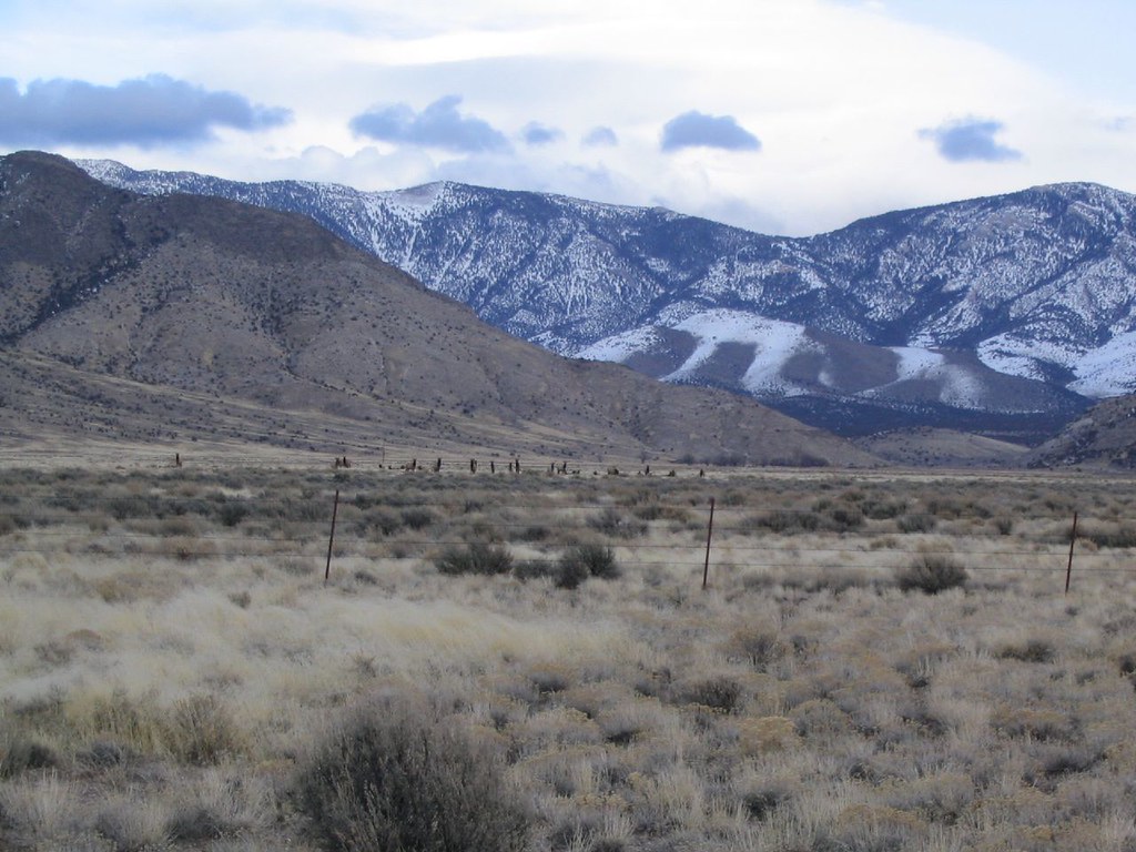 Elk Herd near the Schell Creek Range North of Ely, Nevada Flickr