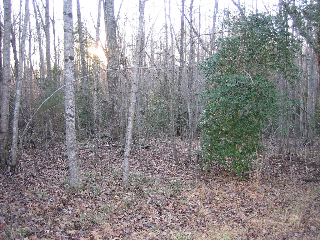 Rosser Road Very nice piece of land, nice trees, not sure … Flickr