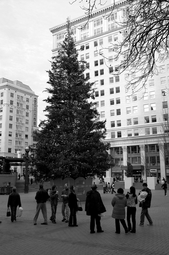 Portland's tree Best viewed large! Sam Grover Flickr