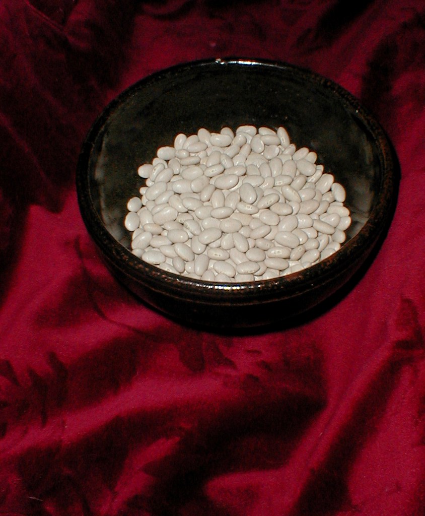 White Beans The beans that later became the cassouletlike… Flickr