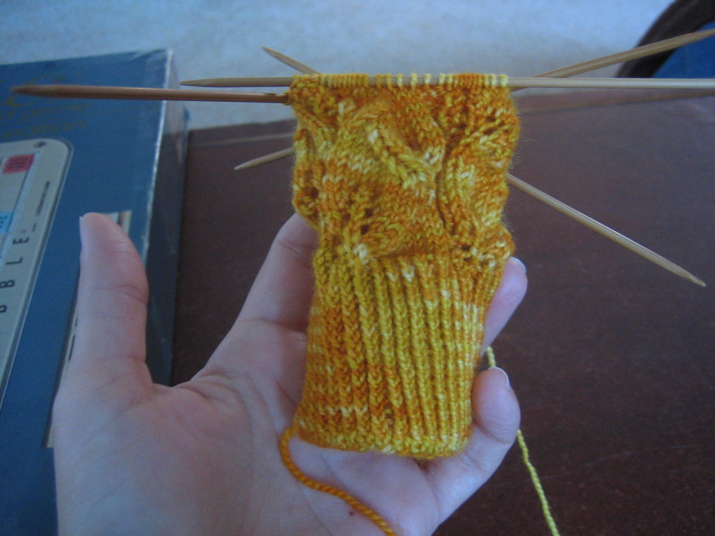 Knitting Olympics Day Two Karen Flickr