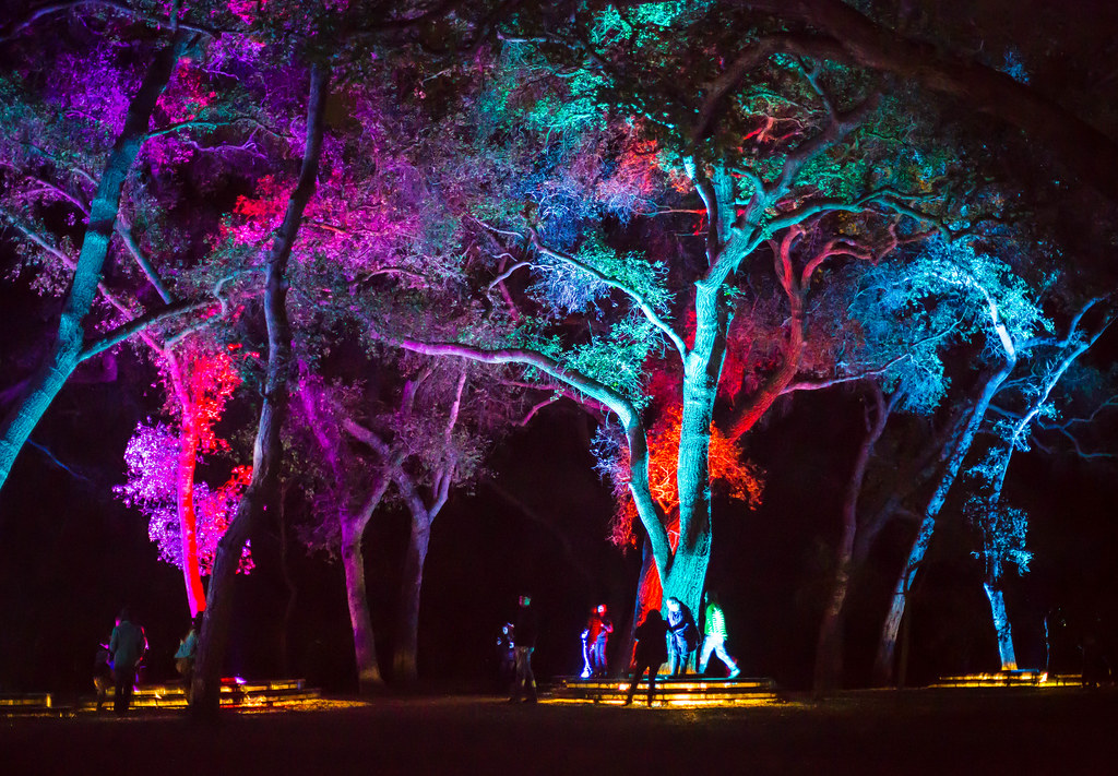 Enchanted Forest Descanso Gardens, La Canada Flintridge, C… Margan