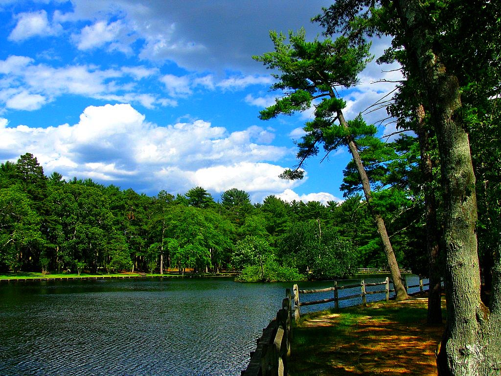 Ocean County Park, Lakewood, New Jersey Bogdan Migulski Flickr