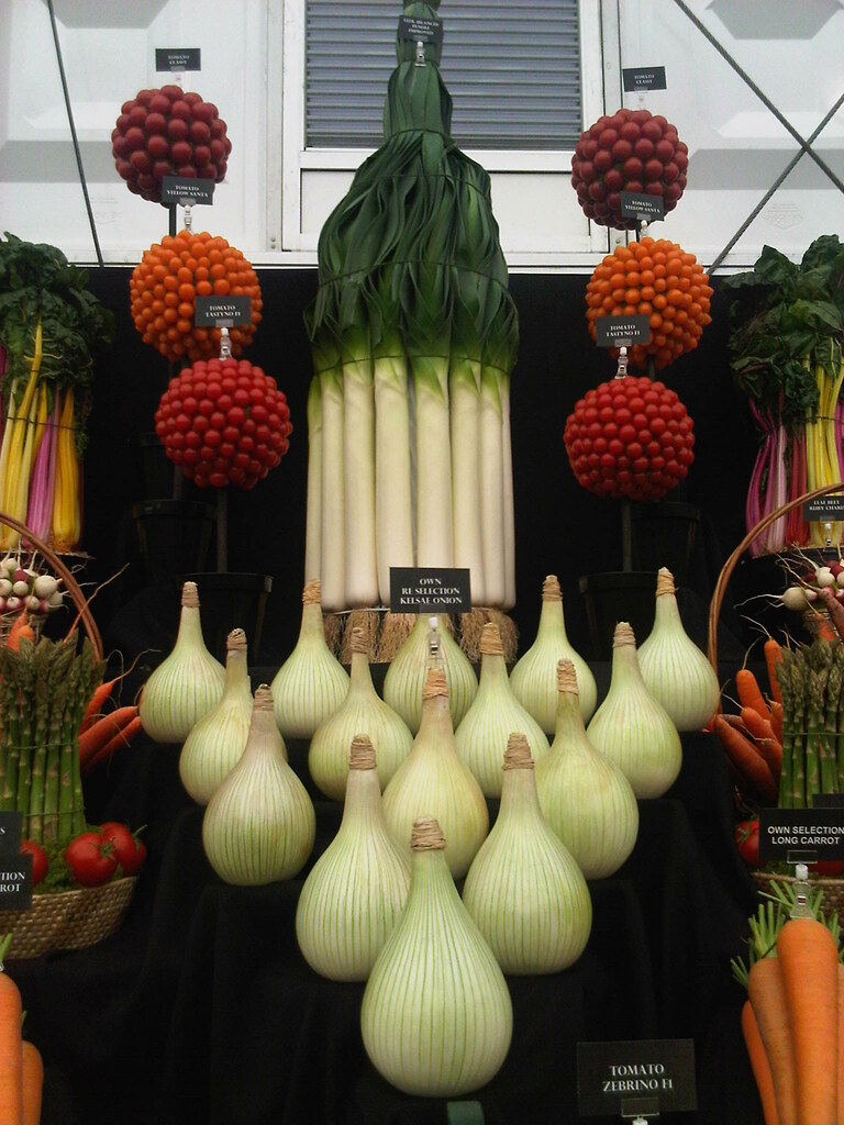 7 Epic Giant Onion Varieties Grow To Wow! Home Garden Vegetables