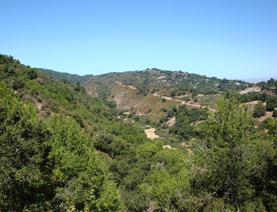 Rancho San Antonio, Los Altos, CA The view from The Rogue … Flickr