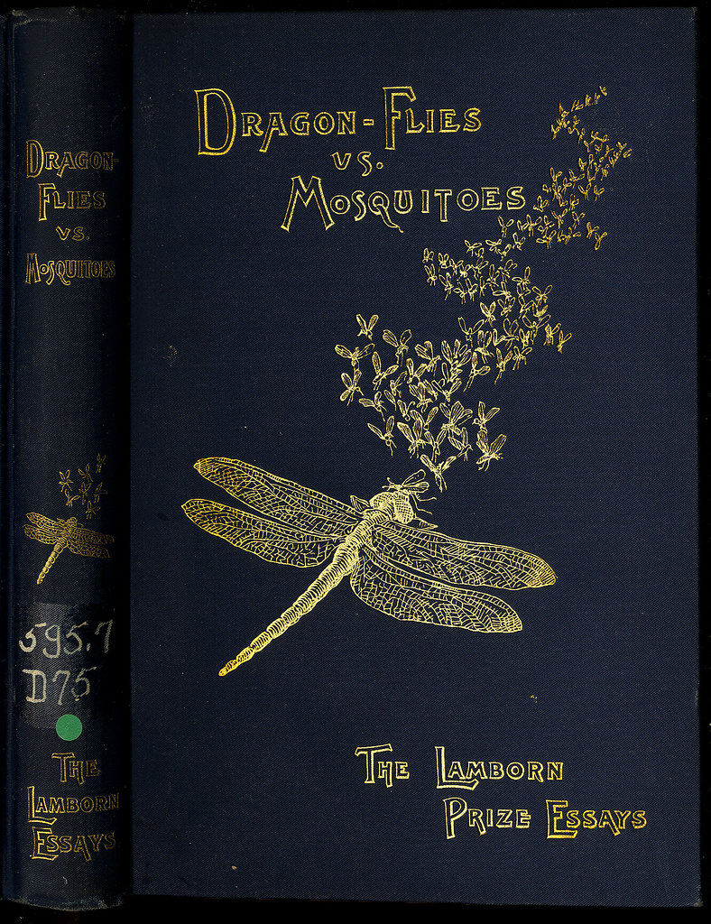 Dragon Flies vs. Mosquitoes Can the Mosquito Pest be Miti… Flickr