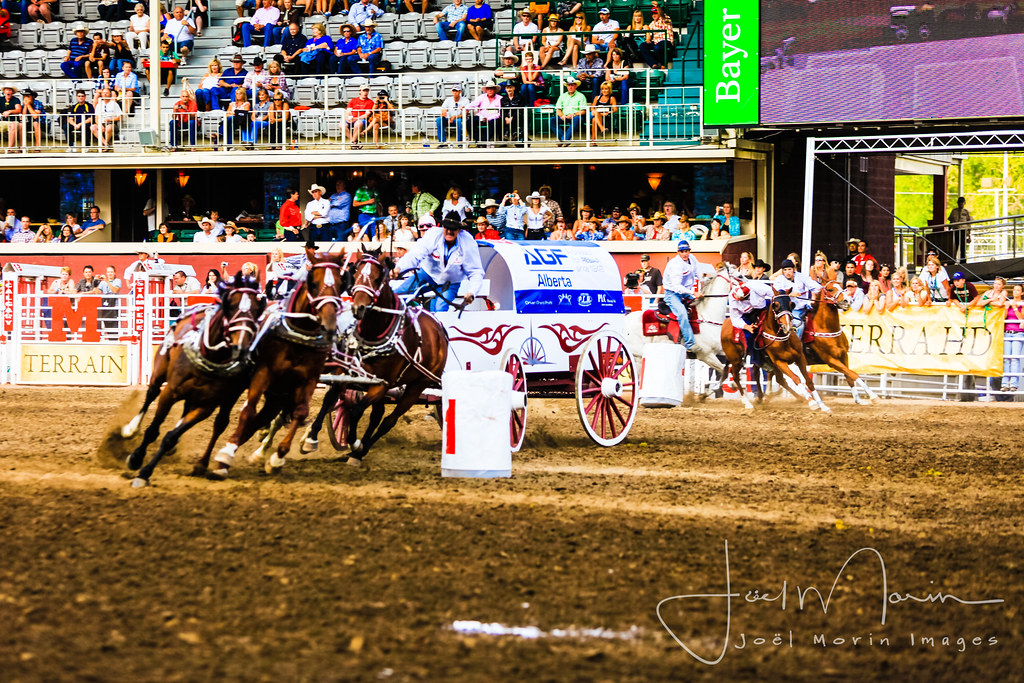 Calgary Stampede Chuckwagon Racing Calgary Stampede Chuckw… Flickr