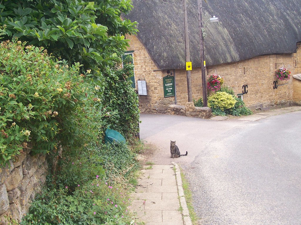 Wroxton Cat at North Arms Kathy Stein Smith Flickr