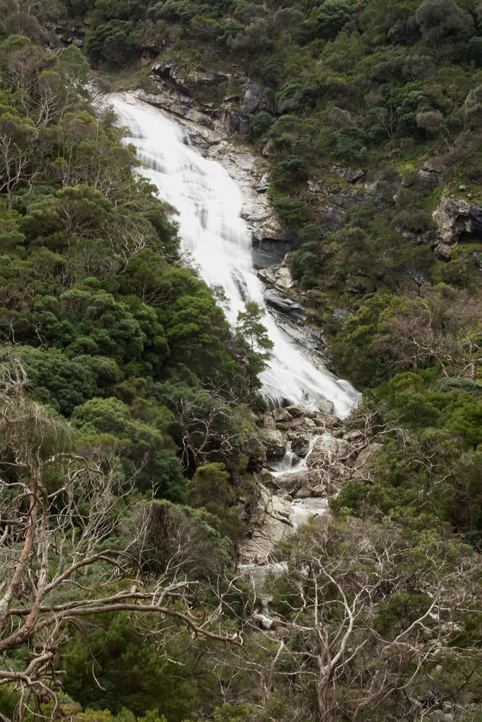 Carisbrook Falls Otway Ranges, Victoria Australia Flickr