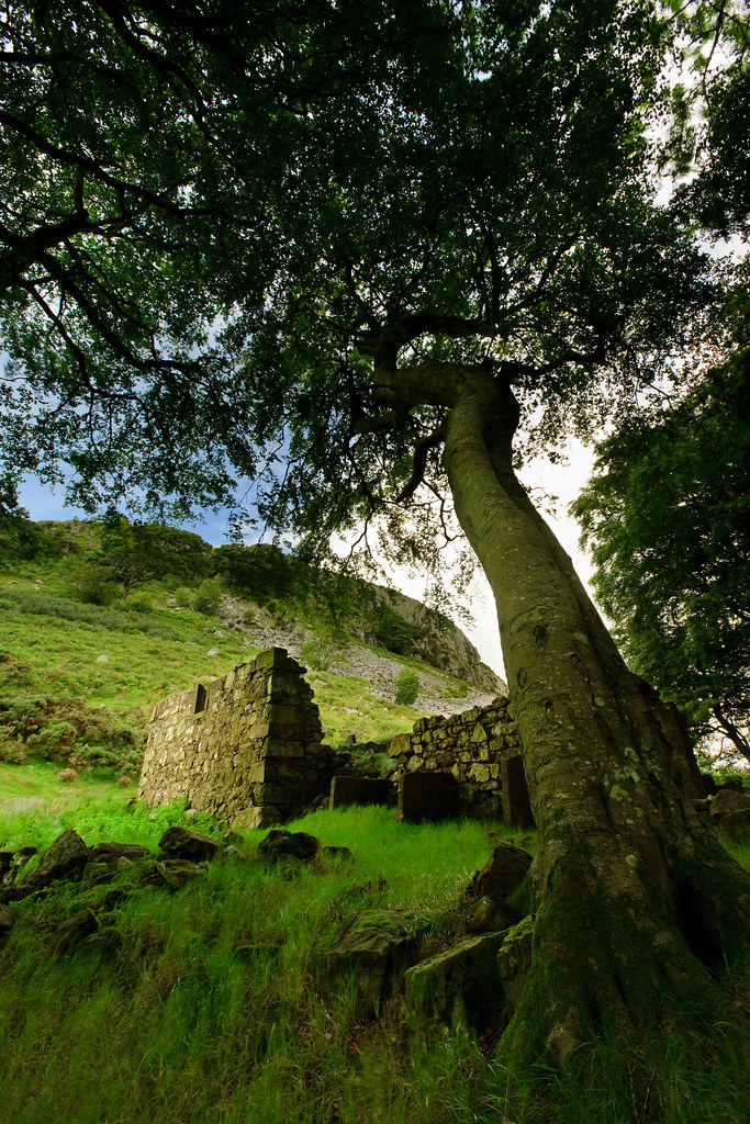 Loudoun hill ruins Took a trip round the foot of Loudoun h… Flickr