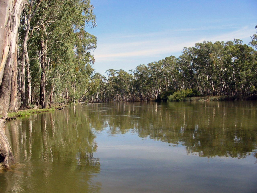 Murray River at Thistle Bed Parks Victoria Flickr