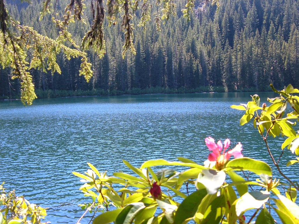 Upper Quinn Lake If you can't find me, this is where I'll … Melinda