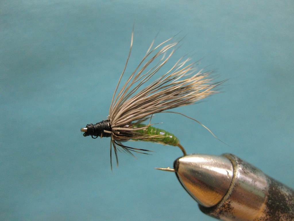 McKenzie River Green Caddis Fly pattern contest mattstansberry Flickr