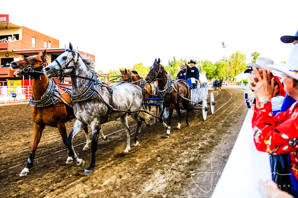 Calgary Stampede Chuckwagon Racing Calgary Stampede Chuckw… Flickr