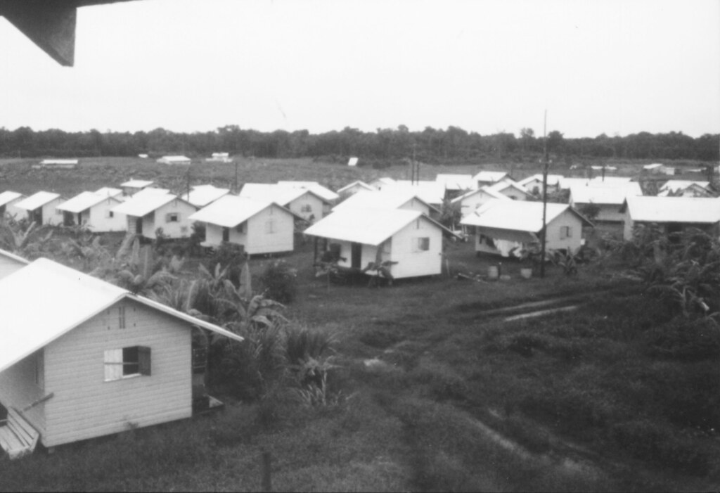 Jonestown 1979 Photograph of cottages taken in May 1979 on… Flickr