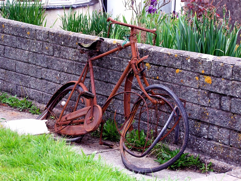 The culture of cycling Flickr