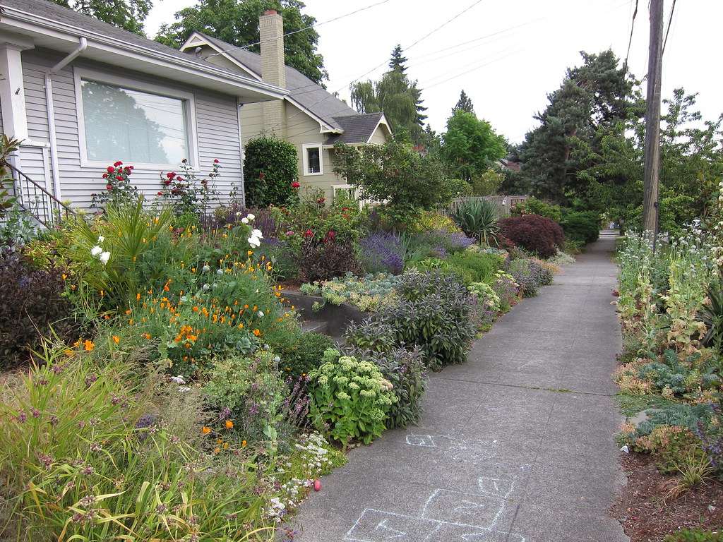 Ravenna Neighborhood My how sunny it is! Nitya & Jesse Eisenheim