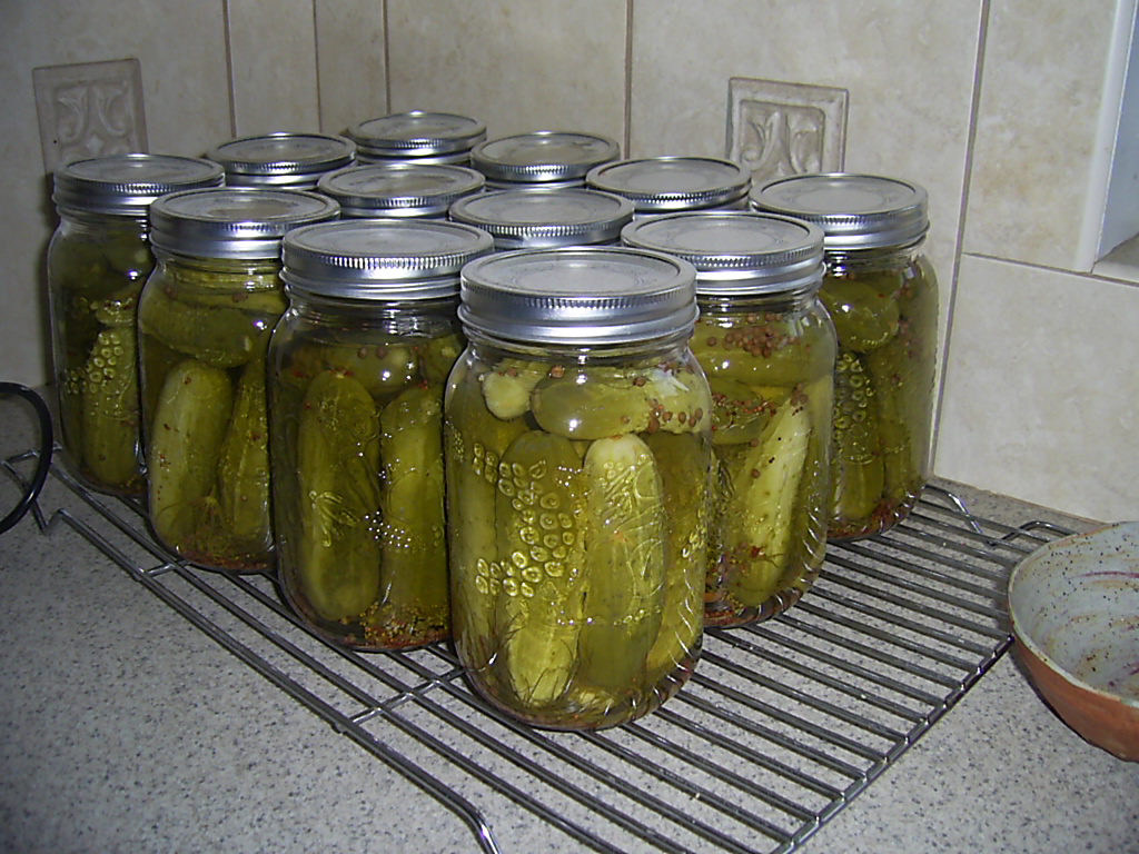 Dill pickles Local Osoyoos pickling cukes and dill with a … Flickr