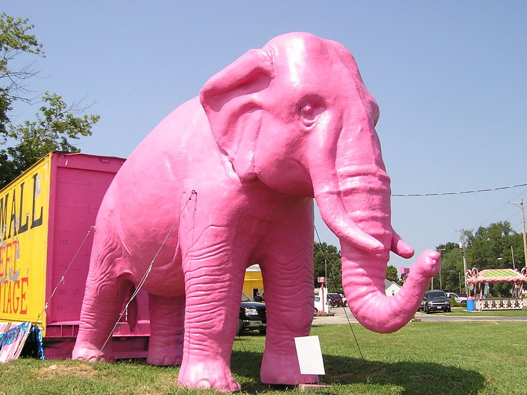Large Pink Elephant Had to get evidence that I saw a pink … Flickr