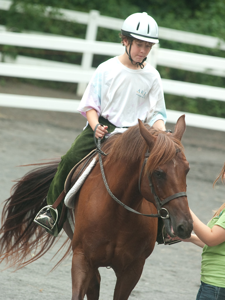 Horseback Riding Lessons Philadelphia, PA Willow Grove… Flickr