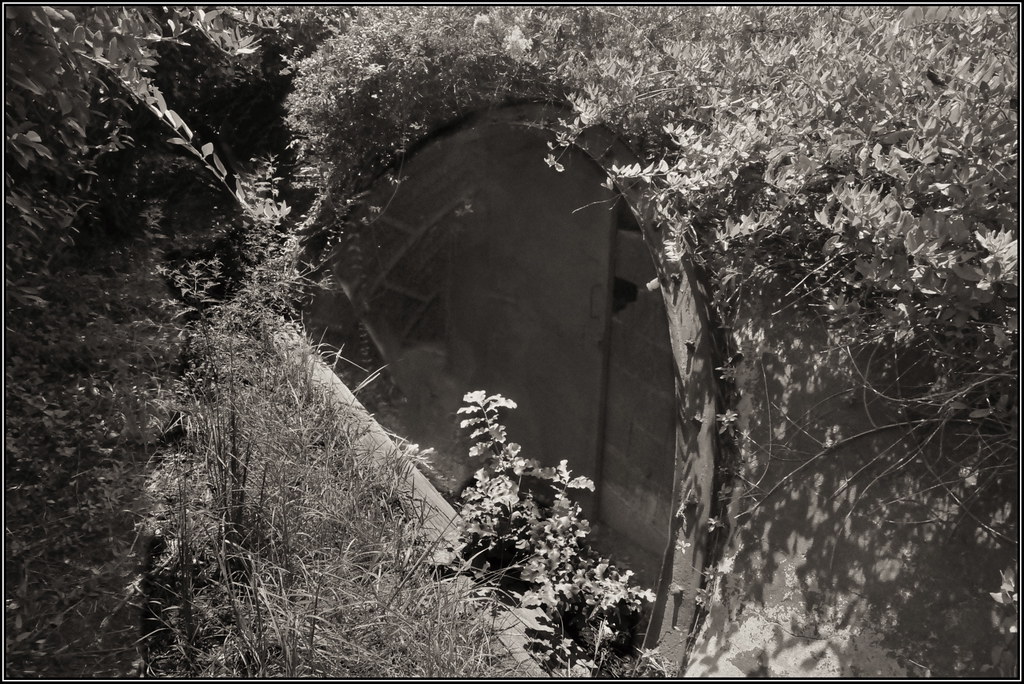 Egypt Coal Mine Entrance Near Sanford NC mosbysraid Flickr