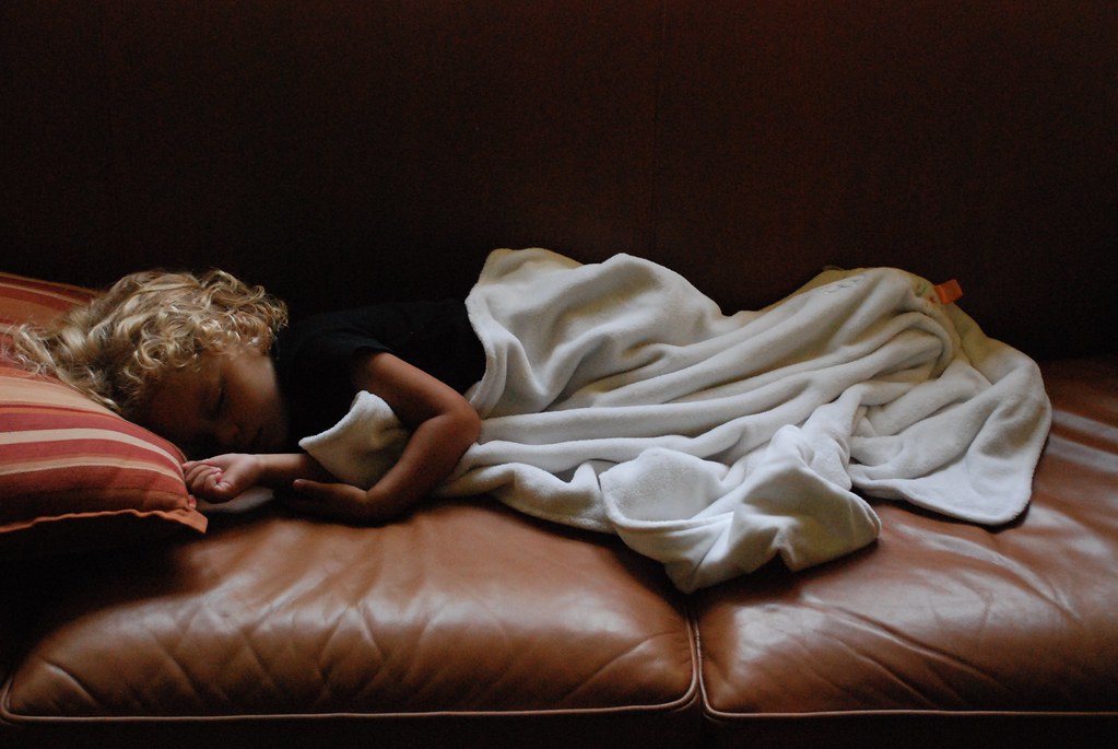 Violet Sleeps Violet takes a rare nap on the living room c… Joe
