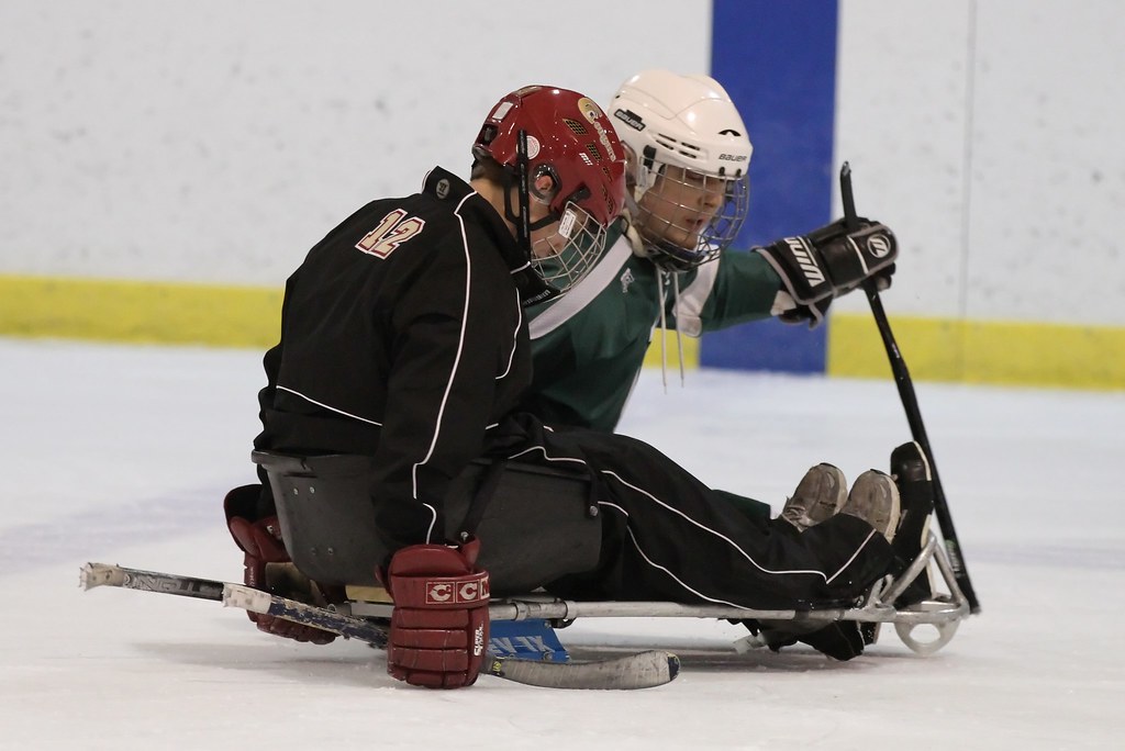 IMG_6725_flt1179239844O Minnesota Northern Sled Hockey Flickr