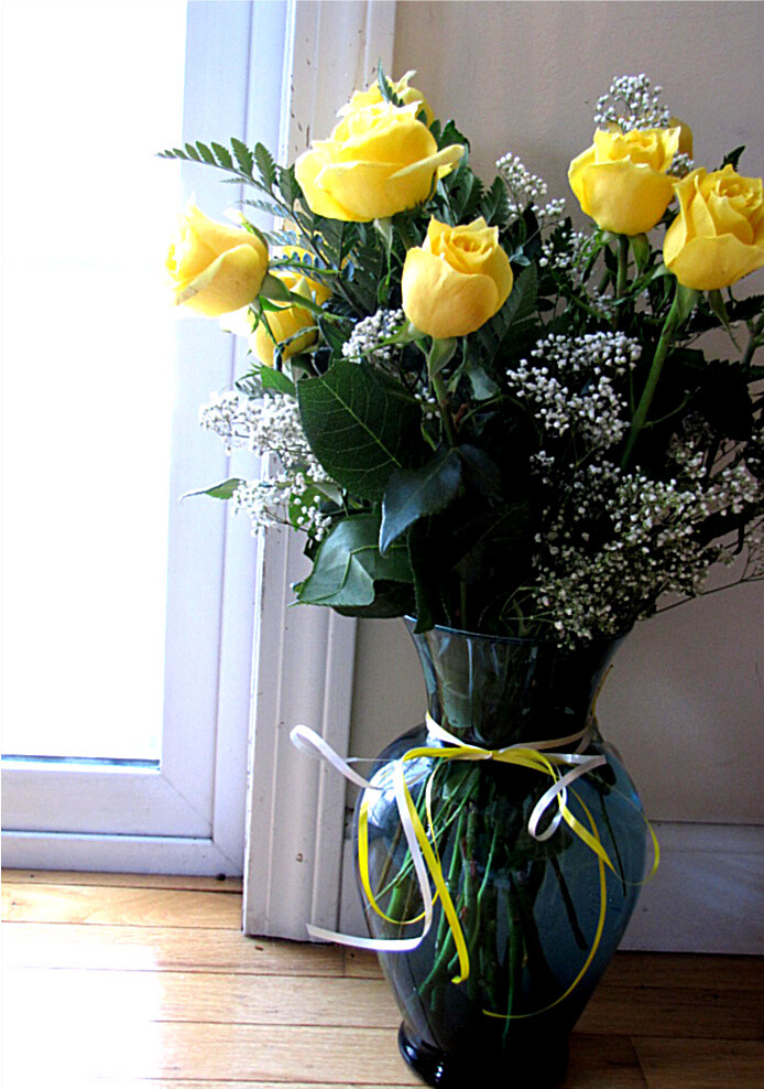 Yellow Roses are Love Ashley Hardy Flickr