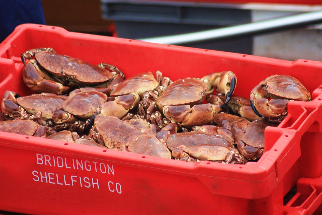 25th Aug10 Bridlington harbour Box of crab on Bridlington … Flickr