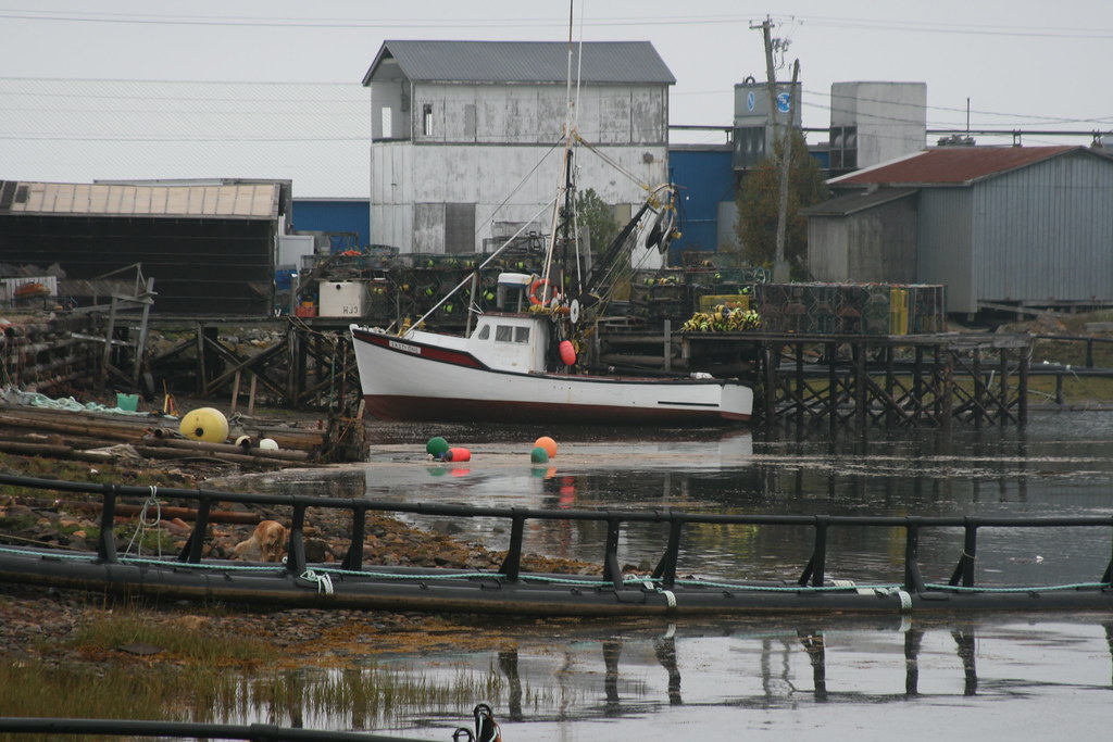 Grand Manan Island Tommy Ro Flickr